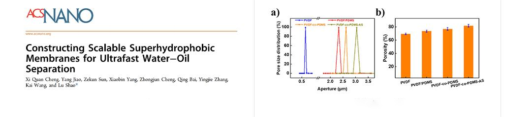 BSD-PB series Full Function Membrane Pore Size Analyzer （bubble pressure method） - Membrane Pore Size - 8