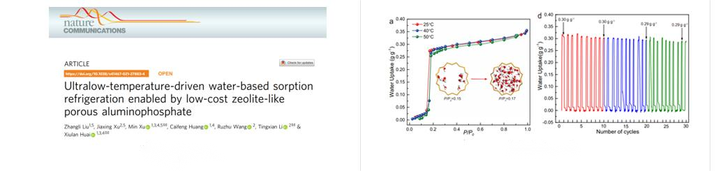 BSD-VVS&DVS Series Vacuum & Dynamic Vapor/Gas Sorption Analyzer  - Gravimetric Sorption-Vapor/Gas - 4