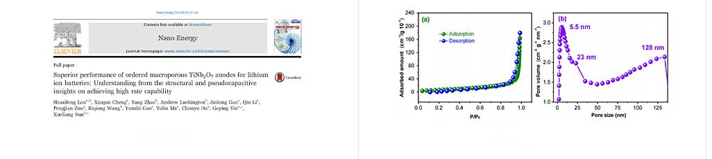 BSD-660 series Advanced Specific Surface Area and Micropore Analyzer - Surface Area & Porosity - 8